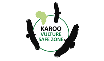 karoo-vulture-safe-zone