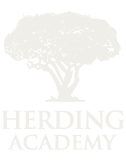 Herding Academy
